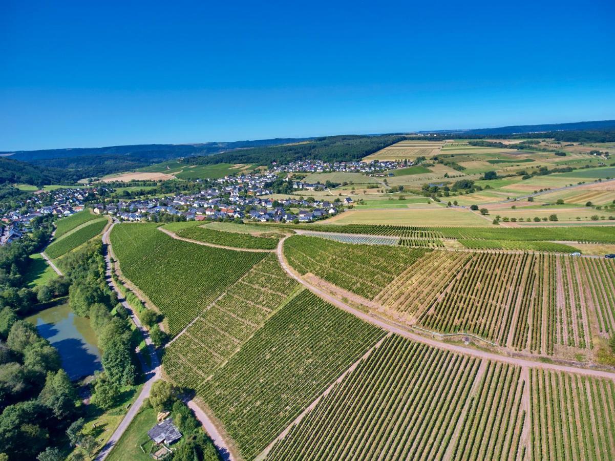 Ferienweingut Willems Oberemmel Luaran gambar