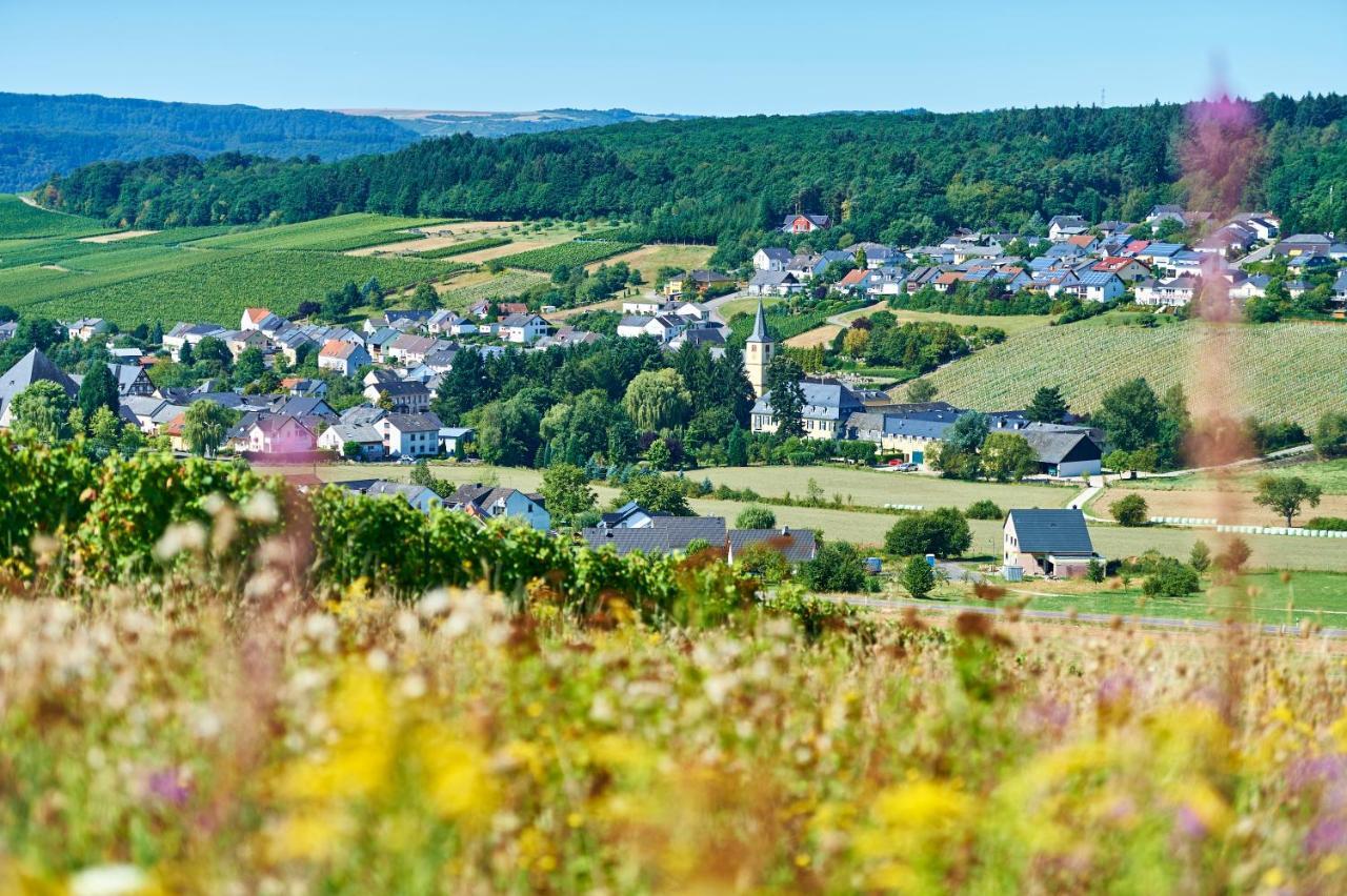 Ferienweingut Willems Oberemmel Luaran gambar
