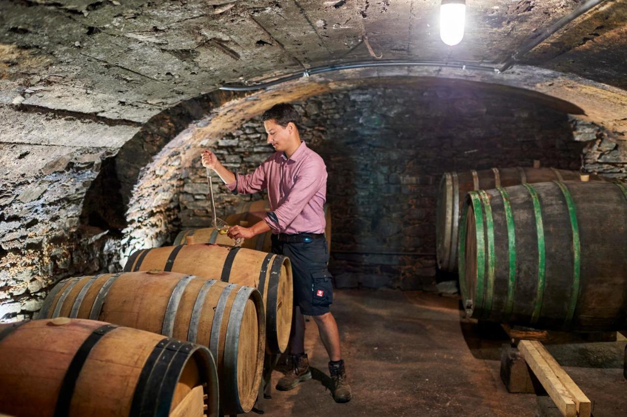 Ferienweingut Willems Oberemmel Luaran gambar